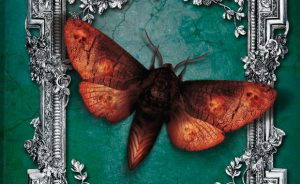 Jugendbuch Cornelia Funke Reckless Dressler Verlag 9783791504896