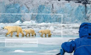 Kinderbuch Biotologe Yann 01 Alaska 3Eisbären