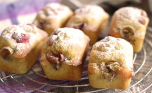 gooseberry cake klein nadelundgabel