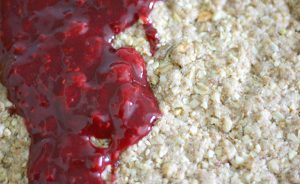 Himbeerstreusel artikel gingerredthings