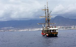 whale watching teneriffa2©trips4kids andrea fischer