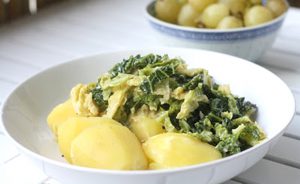 wirsing foodnfotos
