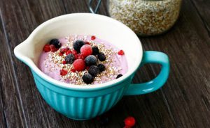 Blaubeer Joghurt artikel transglobalpanparty
