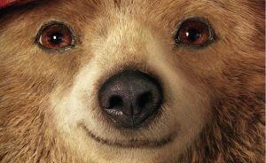 Paddington DVD 2D 1