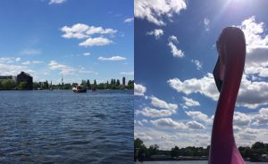 Ahoi