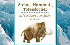 zEiszeit Cover Druck