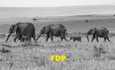 FDP