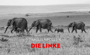 Linke