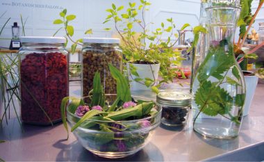 botanischer salon artikel