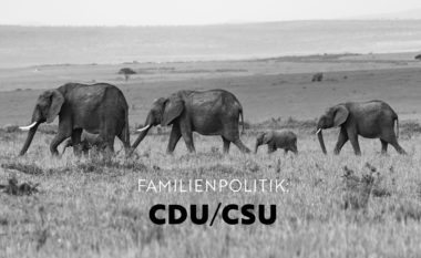 CDU
