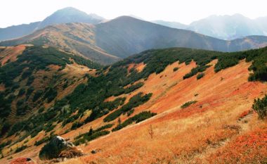 Landschaft tatrawandern Artikel