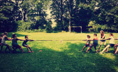Language Farm 1 Kopie