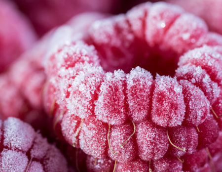 Gefrostete Himbeeren | BERLIN MIT KIND