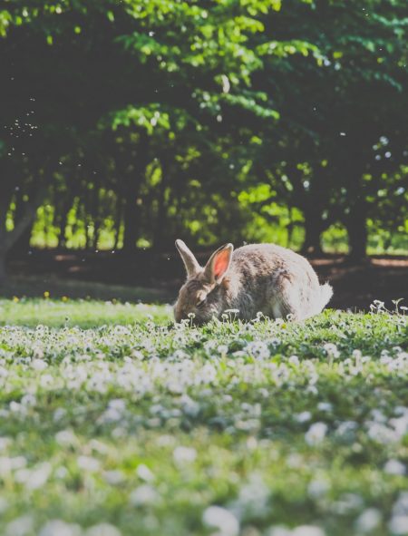 Wochenendtipps Ostern | München mit Kind