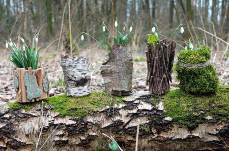 Arendt Naturgeschenke 211 3837409 3061208