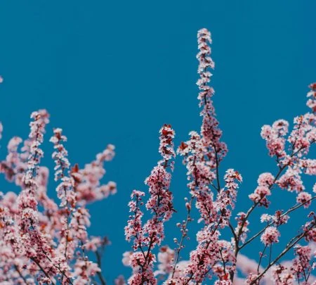 Frühling in München // HIMBEER