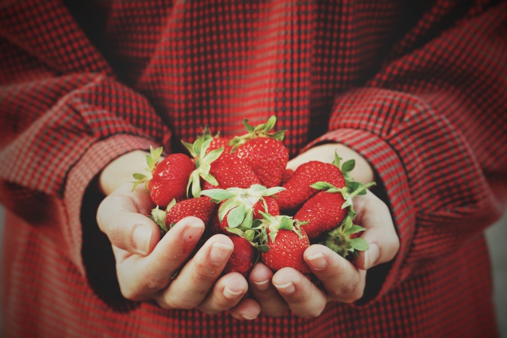 Erdbeerfelder Erdbeeren Hände | München mit Kind