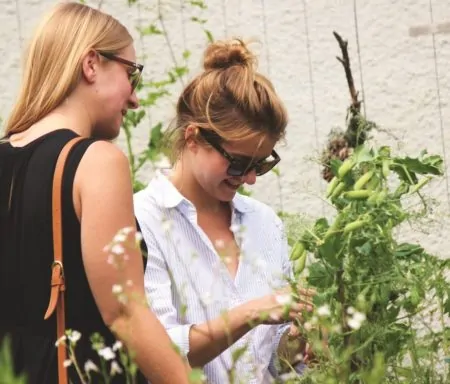 Urban Gardening- Das grüne Leben in der Stadt | Muenchen mit Kind