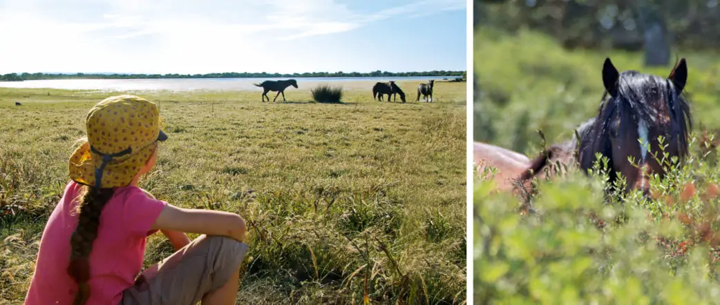 Mädchen beobachtet auf Sardinien die wild lebenden Pferde | München mit Kind