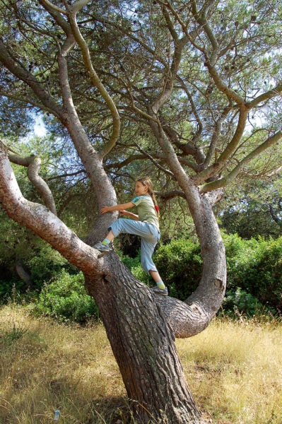 Kind klettert auf Baum auf Sardinien | München mit Kind
