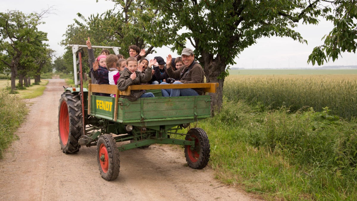 Kinder auf Traktor Biobauernhof // HIMBEER