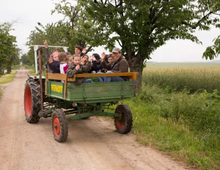 Kinder auf Traktor Biobauernhof // HIMBEER
