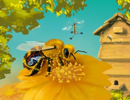 Das Bienenleben im Forschermagazin