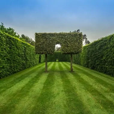 Labyrinthe, Labyrinth, pixabay, verirren, Hecke // München mit Kind