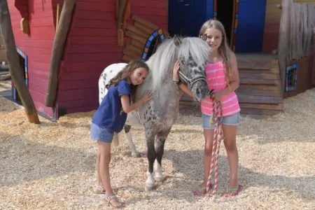 Ponyfarm_Ponys und Esel zum Verlieben sueß im EQUILALAND // München mit Kind