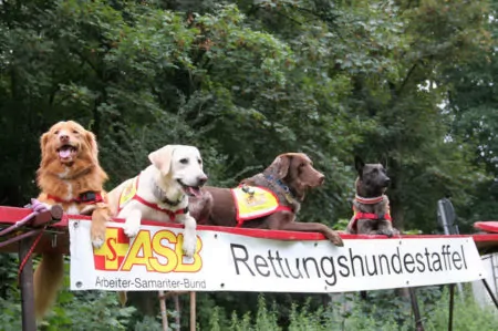 Isarinselfest mit Kindern, Termintipp, Hundestaffel // München mit Kind