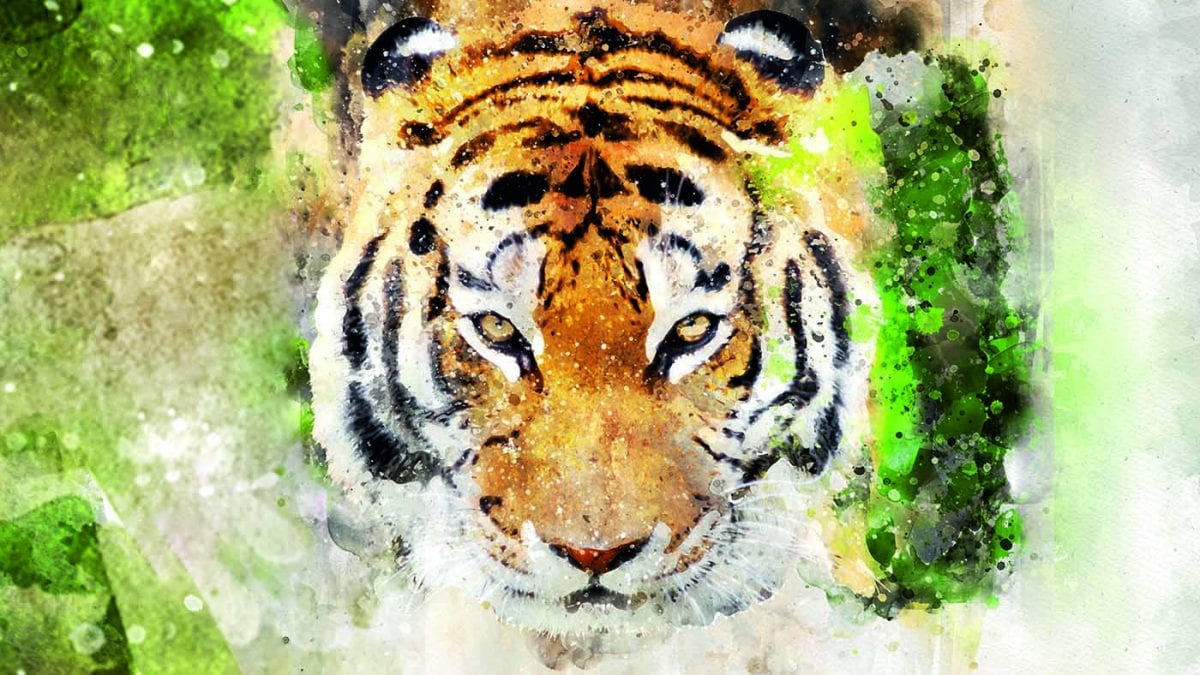 Dschungel-Festival Tiger // HIMBEER