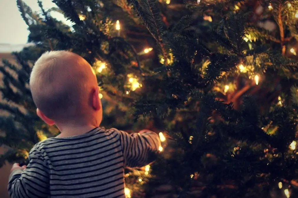 Wochenendtipps Weihnachten Christbaum Junge // Muenchen mit Kind