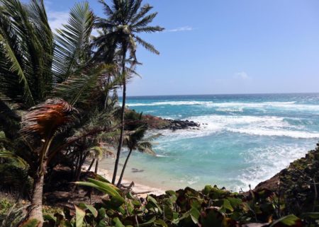 Nicaragua-Reise mit Kindern – Familien-Reiseziel im Winter // HIMBEER