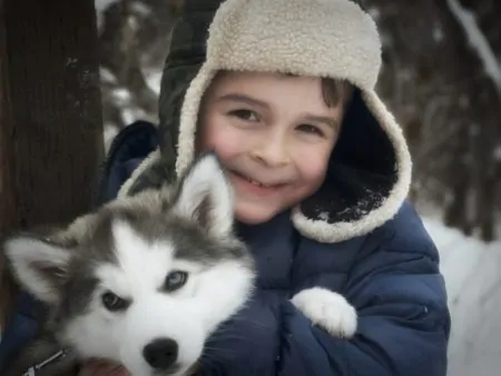 Junge Kind Husky Winter Wochenendtipps // Muenchen mit Kind