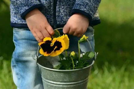 Wochenendtipps Stiefmuetterchen Fruehling // Muenchen mit Kind