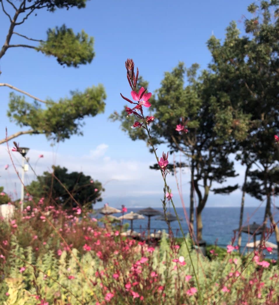 Familienurlaub Kroatien Rabac // HIMBEER