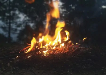 Erdverbundenheitstag im ÖBZ // HIMBEER