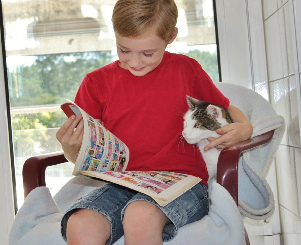 Kinder lesen Katzen vor Tierheim Muenchen // HIMBEER