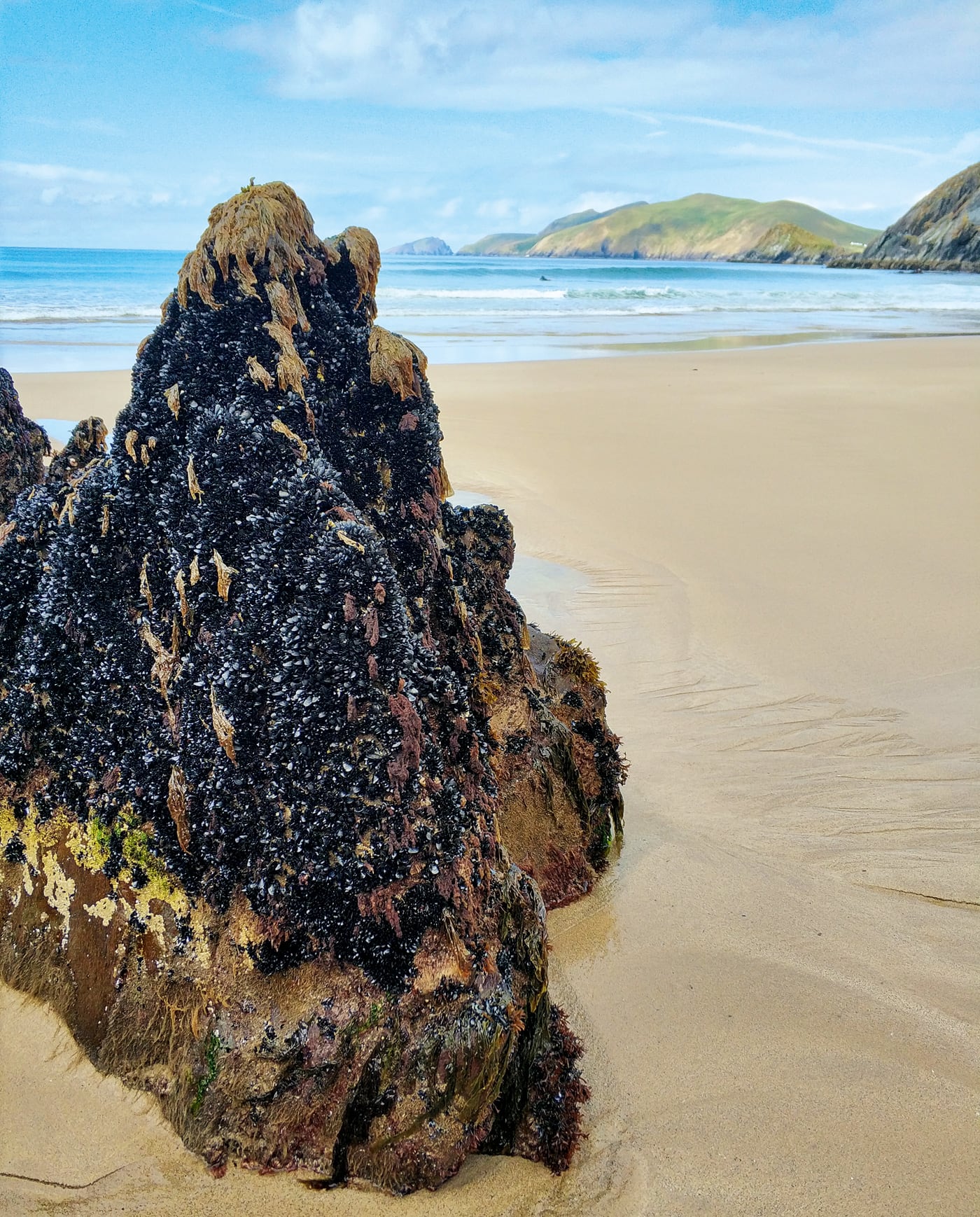 Naturzeit-Reisetipps für Familien: Irland mit Kindern // HIMBEER