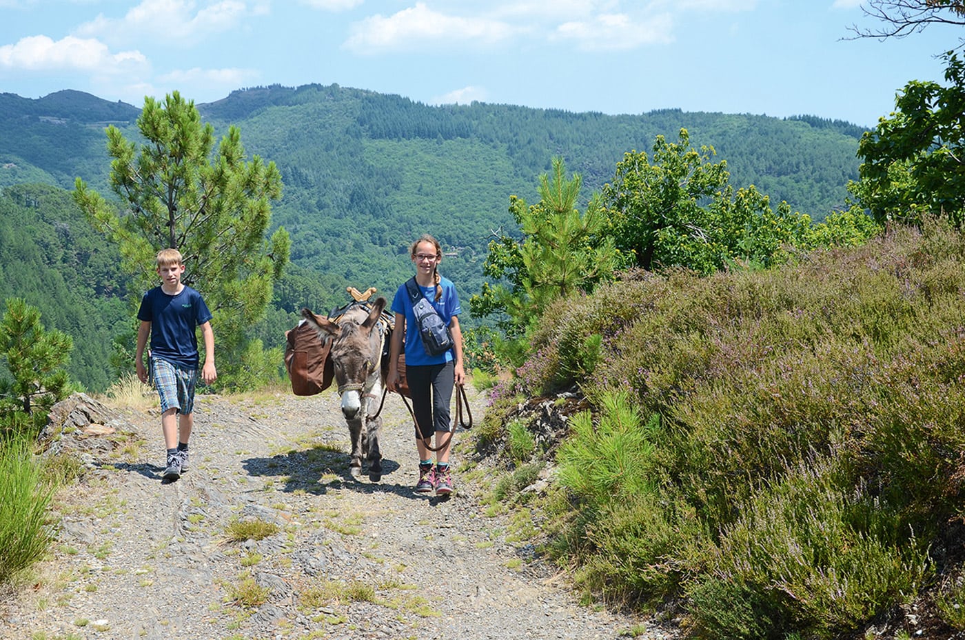 Reisetipps: Eselwanderung mit Kindern in Frankreich // HIMBEER