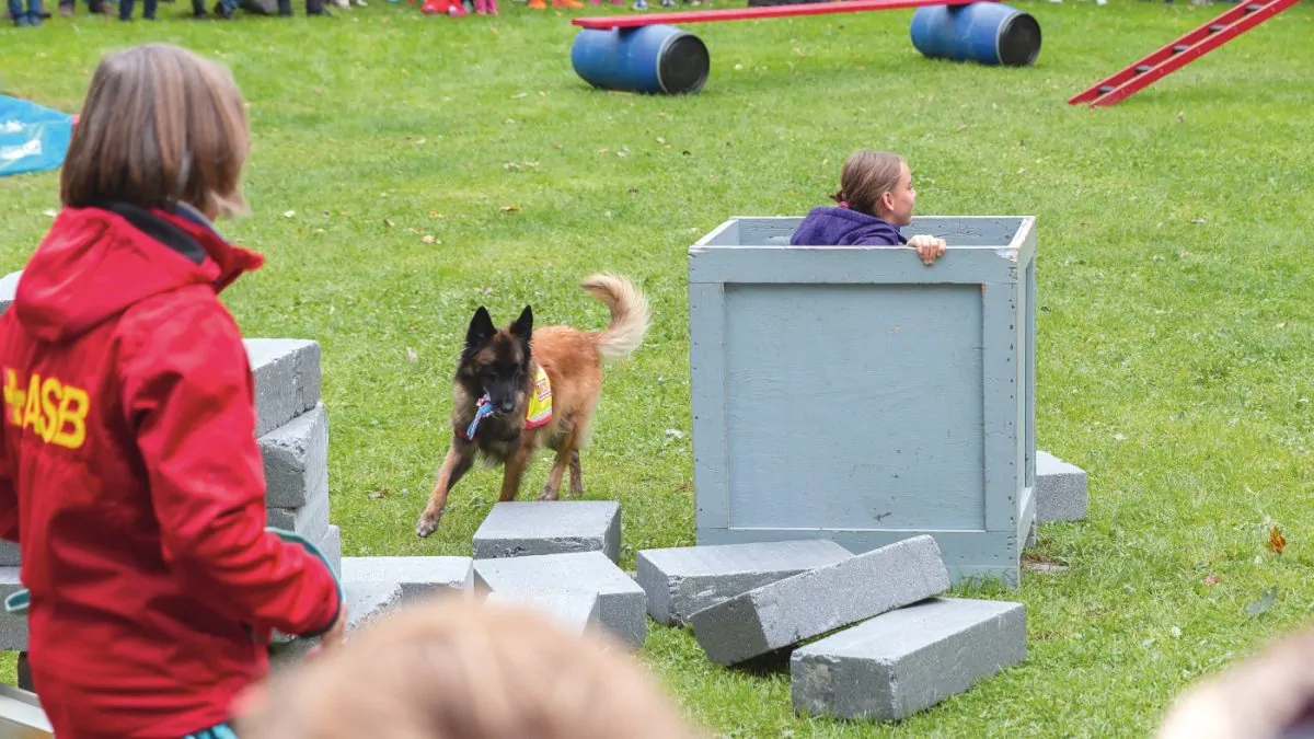 Isarinselfest Hundetraining // HIMBEER