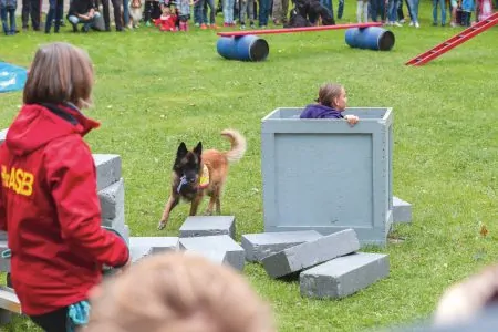 Isarinselfest Hundetraining // HIMBEER