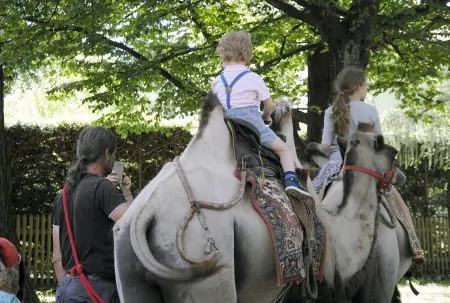 Waldgasthof Buchenhin Kamelreiten Sommerfest // HIMBEER