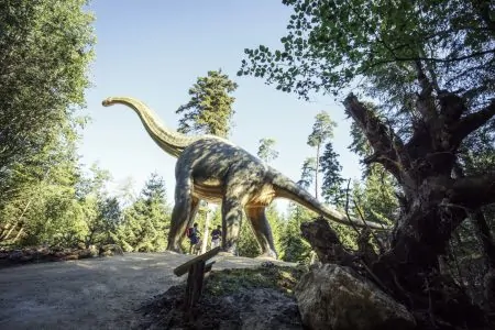 Raubdinosaurier Brachiosaurus Dinosaurier-Museeum // HIMBEER