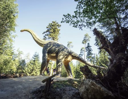 Raubdinosaurier Brachiosaurus Dinosaurier-Museeum // HIMBEER