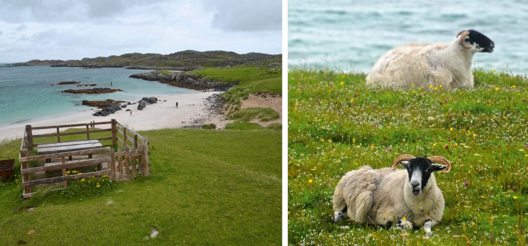 Reisetipp für Familien: Wandern in Schottland // HIMBEER