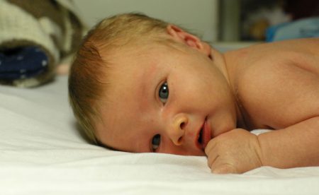 BABY IMG 0264 c A.Ihlenfeld 1866037