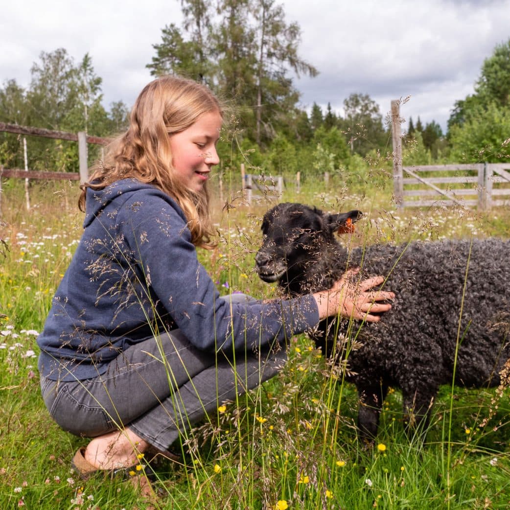 Urlaub mit Kindern in Schweden auf einem Bauernhof – Tiere streicheln und füttern // HIMBEER