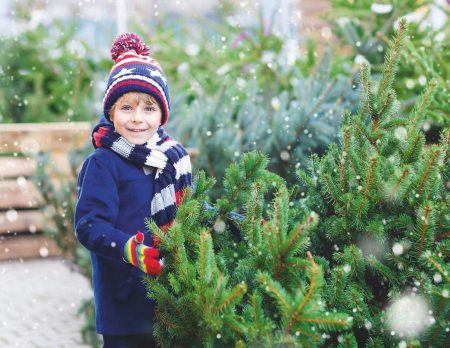 Weihnachten Tannenbaum Junge // HIMBEER