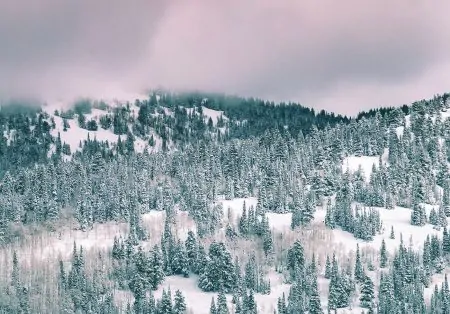 Rauhnächte Mystisch Winter // HIMBEER